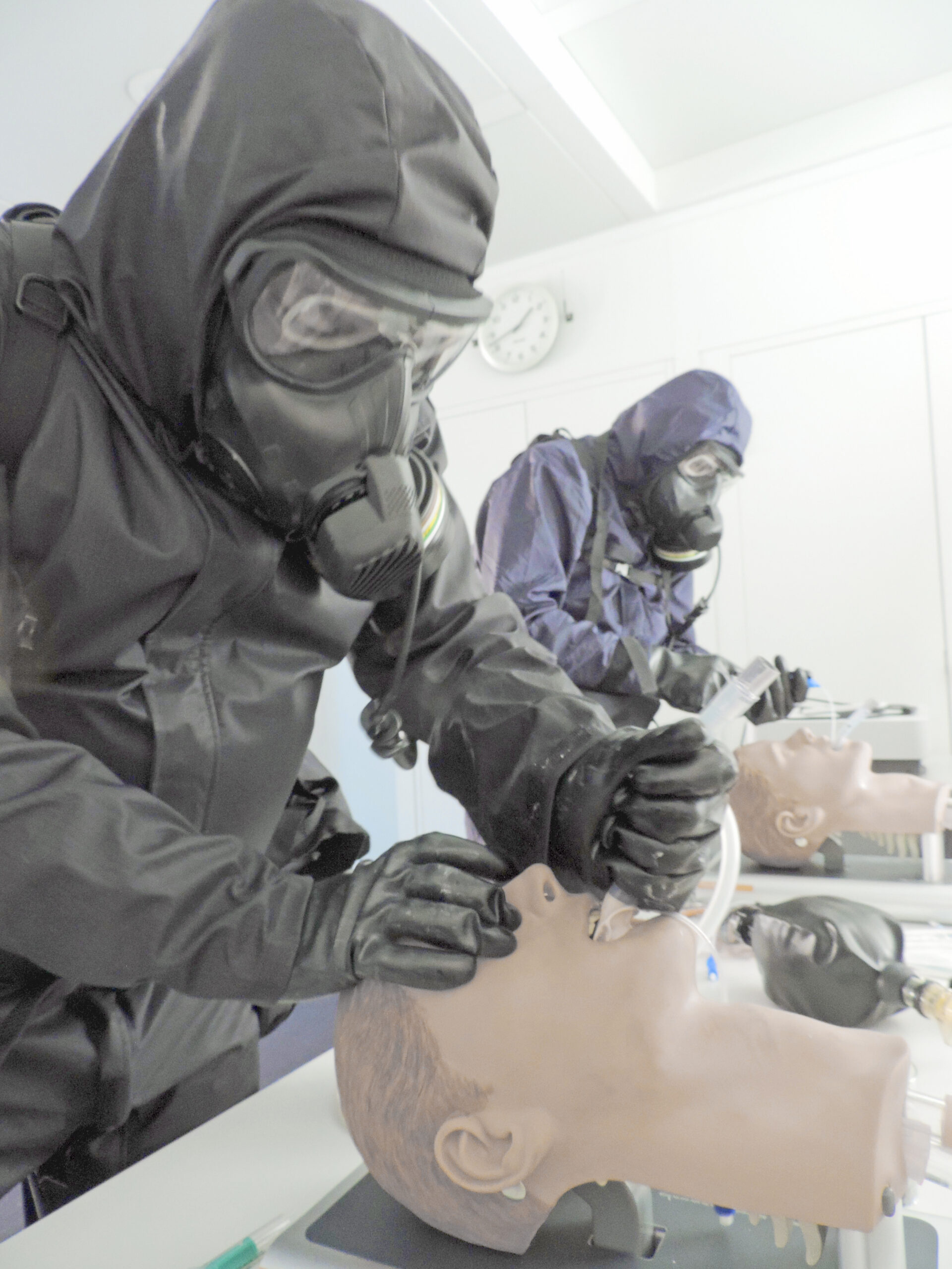 Technical cooperation and training