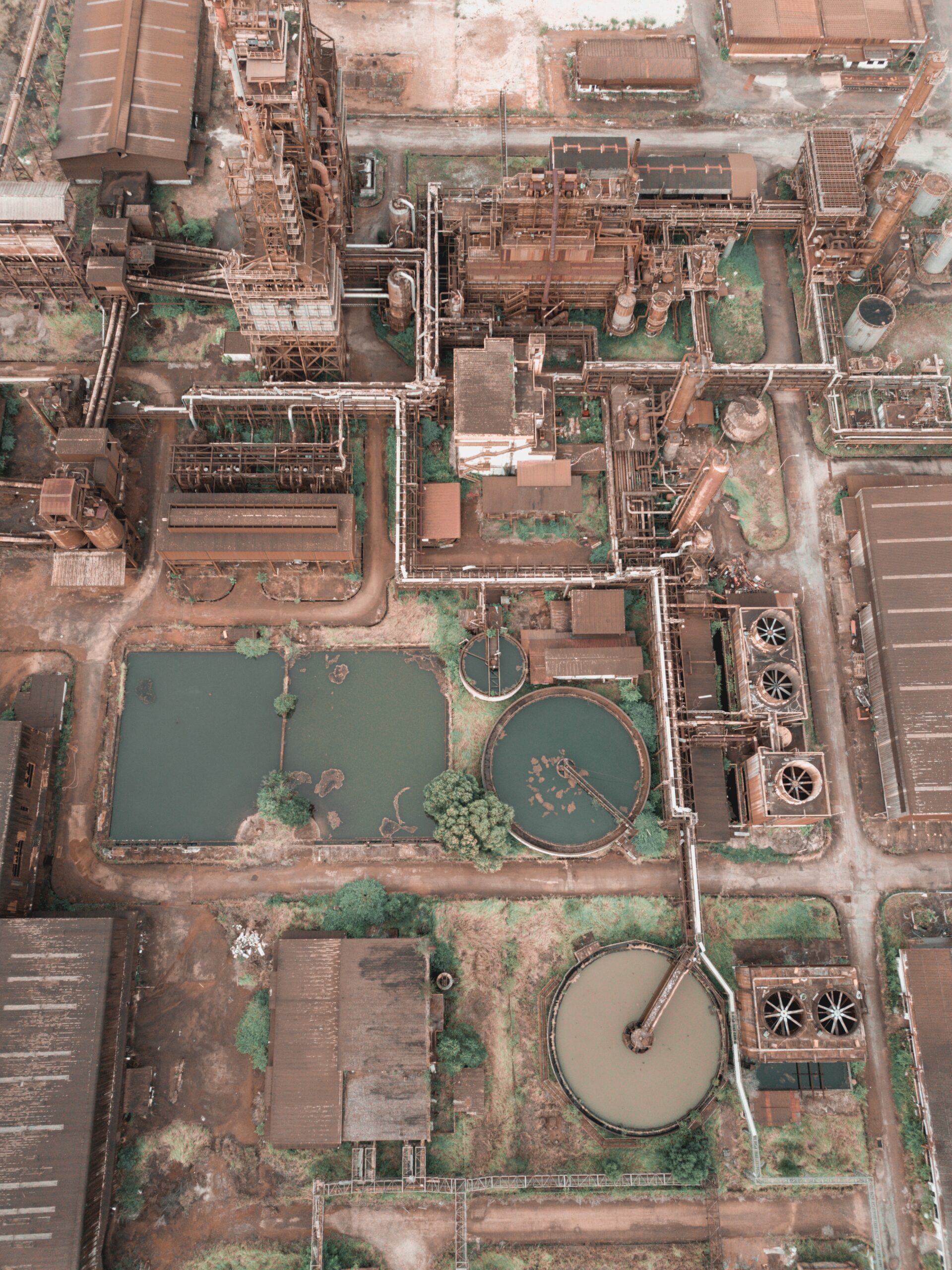 Thematic Fields